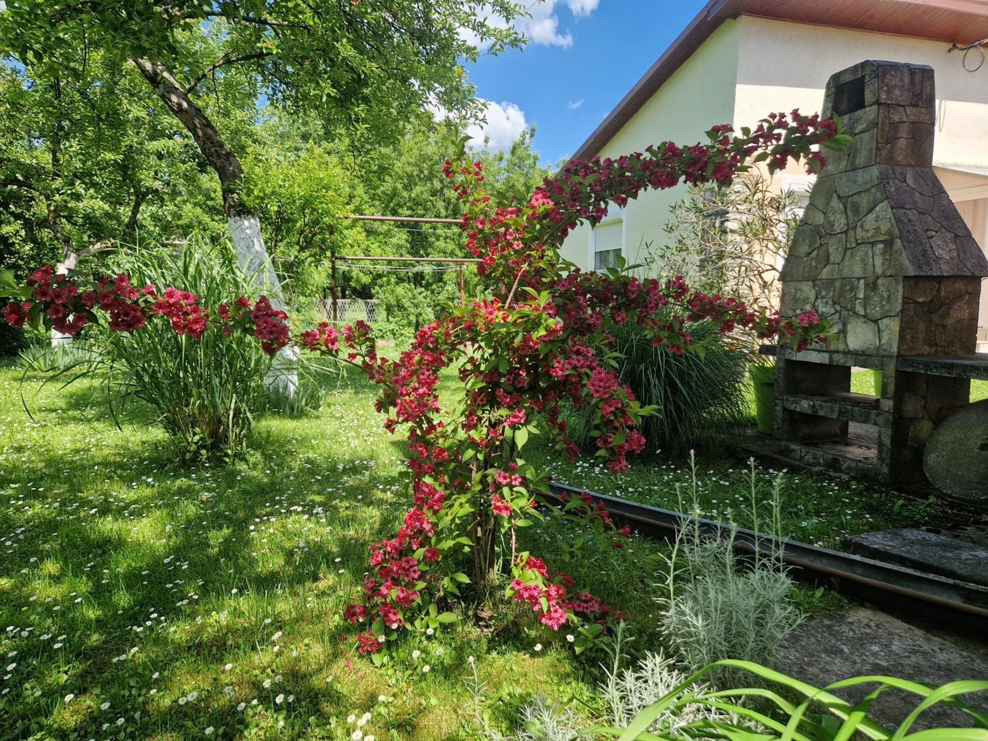 Studio Apartman Marica - Ogulin, Hrvatska Extérieur photo