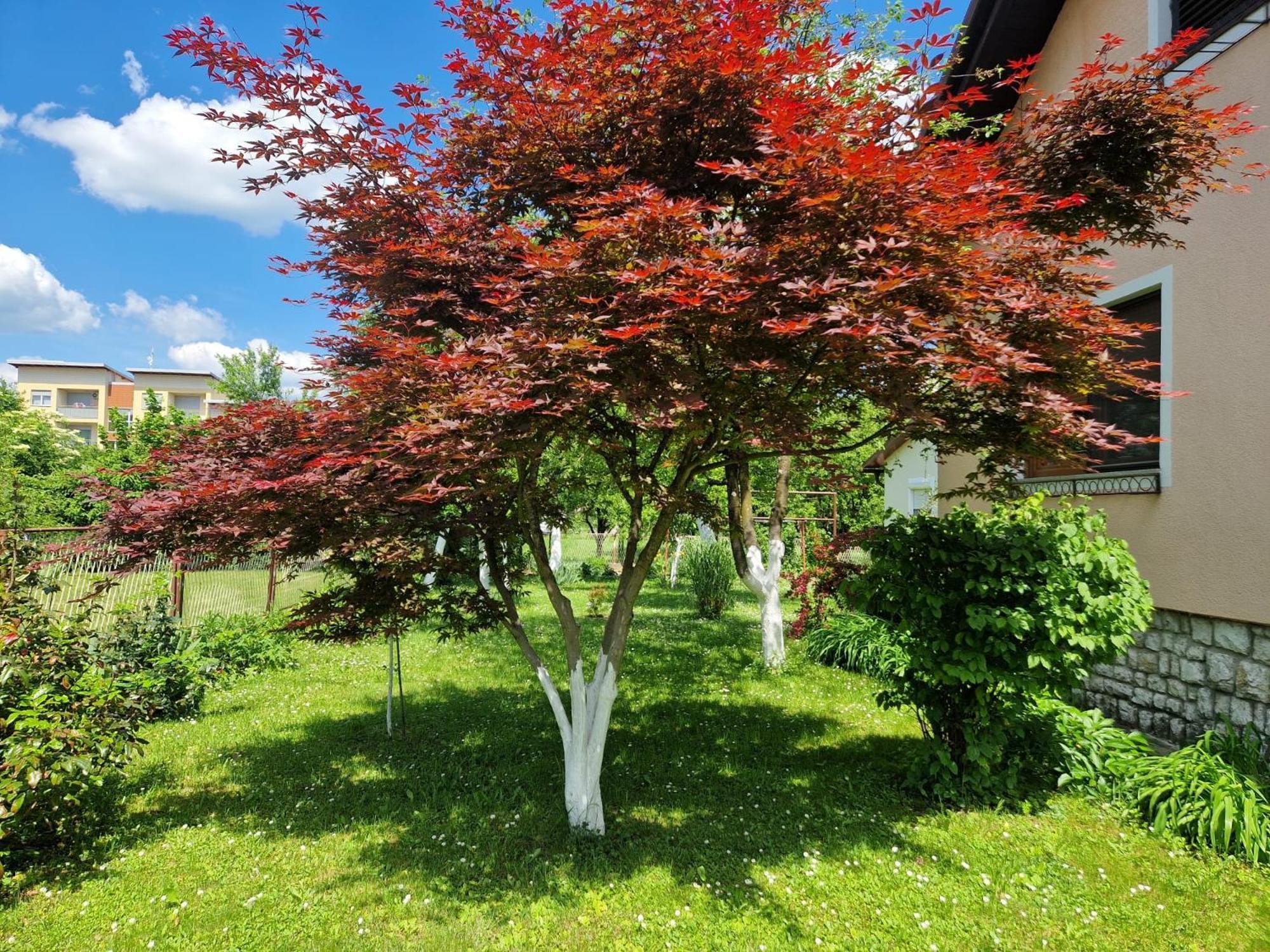 Studio Apartman Marica - Ogulin, Hrvatska Extérieur photo
